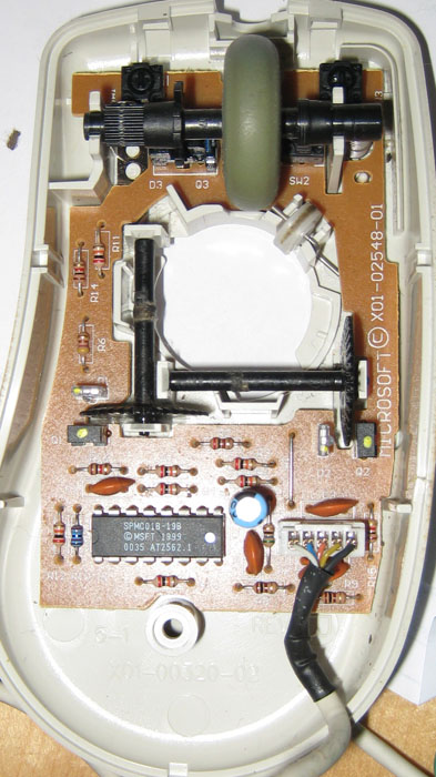 Mouse B
