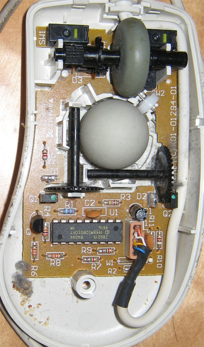 Mouse H
